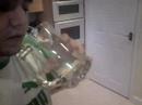 matt, bill, pear cider, pizza & the apprentice final