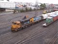 Dunedin yard 20/12/08
