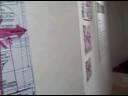 Aug 19 2007 - VID00002 Aug 19 2007 - VID00002