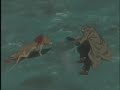 wolf\