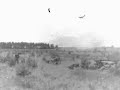 Narva 1944