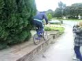 Jacks Bunny Hop