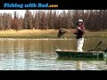 Fish surprises camera man