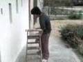 terremoto