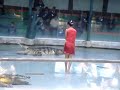 Thai Zoo