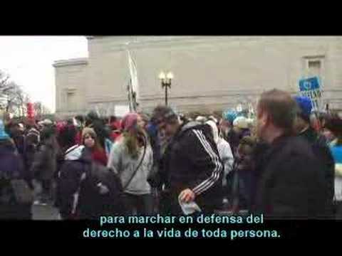 Ver video