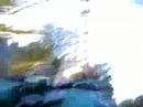 Loch Ness Monster. Amusement Park: Busch ...