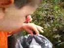 Luca picking berries on his 3rd birthday
