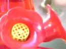 Hummingbird at Feeder