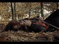 Yaralı Gül - Mehmet Tokat & Ahmet Şafak & Naşide Göktürk