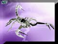 SCORPIONS [ YOUR LIGHT ]  AUDIO-TRACK