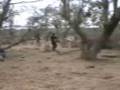 Ver Video