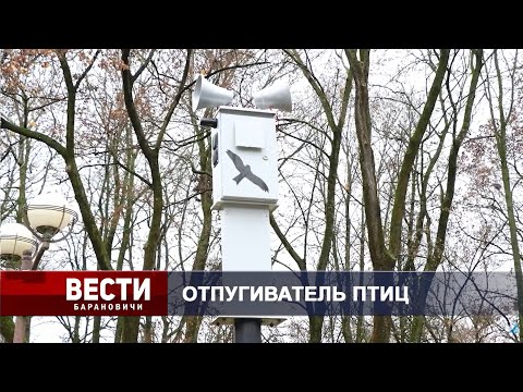 Вести Барановичи 12 ноября 2025.