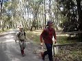 2008 NSW Rogaining Championship Finish