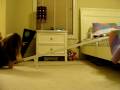 really cool carpet sliding grinds(I HURT MY ELBOW AT THE END.ITS FUNNY!!!!)