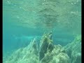 Wilderness of Crete