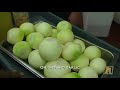 David Greco's St Joseph's Day Pasta con Sarde - Italian American Network