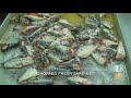 Pasta con Sarde - Italian American Network