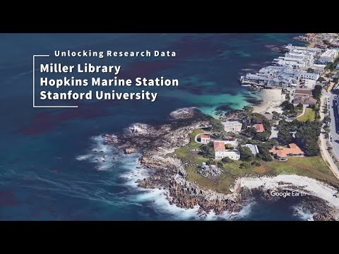 Video of a marine science librarian talking about projects to extract historical data from legacy collections.