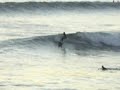 Fun Surf At Terra Mar Cove, Carlsbad, San Diego 10-23-07