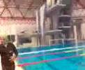 Diving    