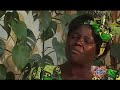 Wangari Maathai - Planting Trees for our Children\
