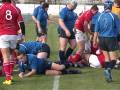 Ukraine rugby, Kredo-63 - Obolon