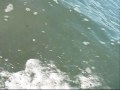 humboldt surf 5