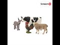 Miniature vidéo Kit de base : Figurines animaux de la ferme
