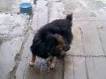 https://youtu.be/HcbLOIfw8R4