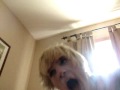 The Devil Wears Prada Cover Lol