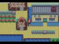 Pokemon Hacking Test