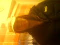 daina posing