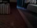 videos de moto_0047.3gp