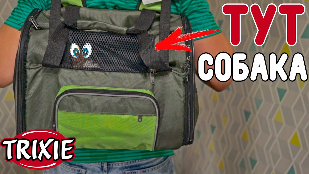 Рюкзак-переноска для собак TRIXIE . Обзор компактной переноски для Джек Рассел терьера.