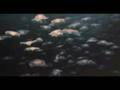 cnidarian video