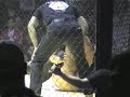Baja Fighting Team Jonathan Galindo UCM Tijuana Mexicali