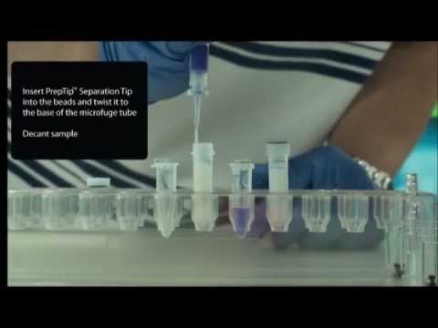 how to isolate clostridium