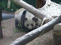 P1010307