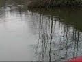 White Crappie Action Spring 2008
