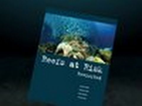 YouTube Preview Image