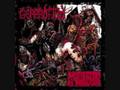 Gorerotted - Gagged, Shagged, Bodybagged