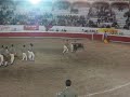 FORCADOS QUERETANOS