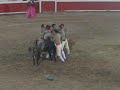 FORCADOS QUERETANOS