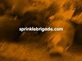 sprinkle brigade hits the streets of nyc