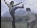Larry Lee vs. Cheung Lik