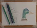Watercolor Pencils -Part 2