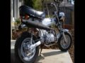 vidz de mes dax.mpg