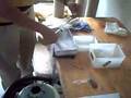 Cryopreservation of tragopan semen