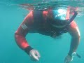 loch hyne freediving